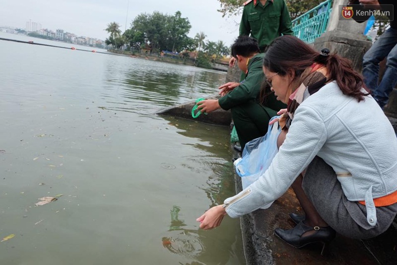 bắt cá chép khủng tại Hồ Tây