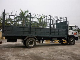 thue xe tai - van tai - van chuyen - dich vu van tai - dich vu van chuyen